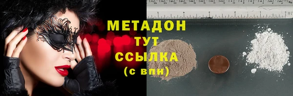ГАЛЛЮЦИНОГЕННЫЕ ГРИБЫ Инсар